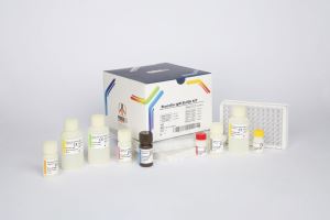Brucella IgM / pishtaz teb / پیشتاز طب / کیت تشخیص طبی 